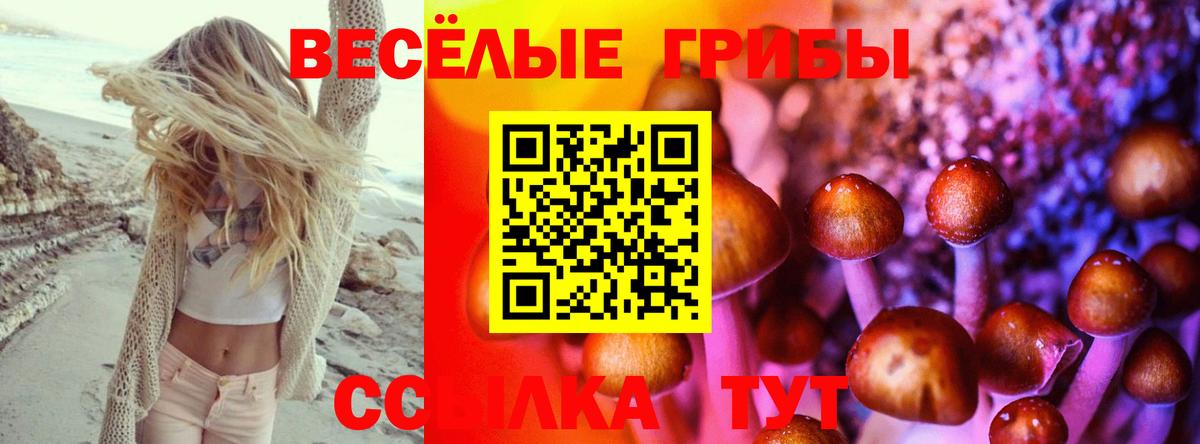 Ростов-на-Дону  Галлюциногенные грибы Cubensis  Вход с VPN  Псилоцибиновые грибы Psilocybe 